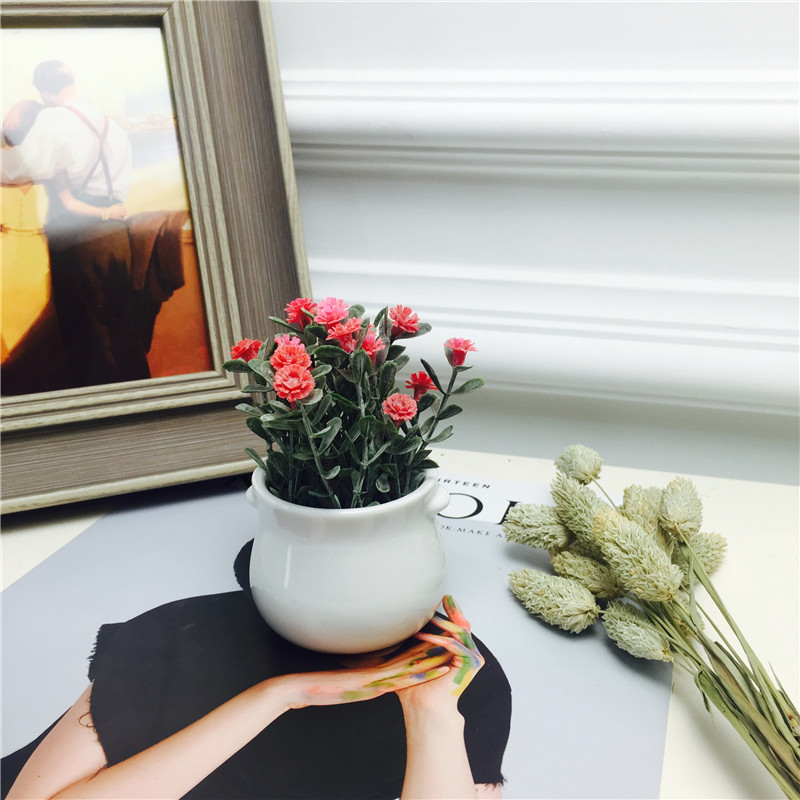 Pastoral simple creative office room simulation potted green plants and ornamental plants Home Furnishing soft decoration decoration5