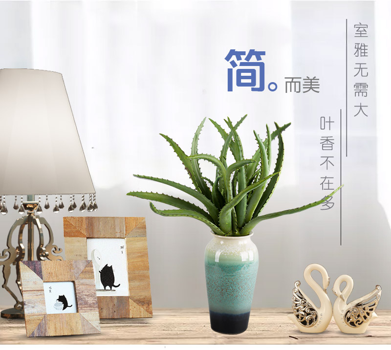 Aloe Vera glue home, indoor simulation flower room, table, home office, model room, decorative flower arrangement, simulation plant1