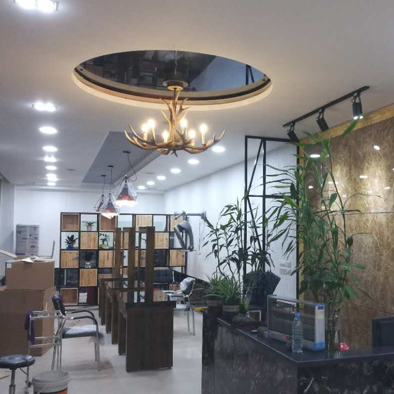 Modernism pastoral design chandelier W-6220-6 living room hotel apartment Chandelier2