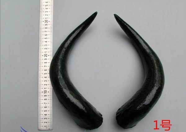 仿真牛角simulation prop cow horn