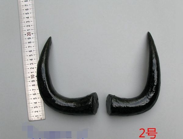 仿真牛角simulation prop cow horn