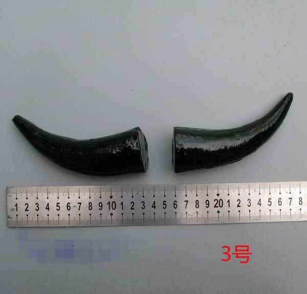 仿真牛角simulation prop cow horn